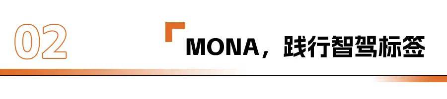 樂道和MONA,做廉價版就能賣好?