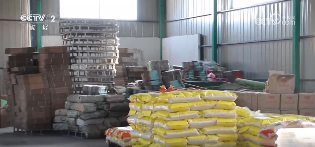 電商助力小農(nóng)戶銜接大市場 訂單化種植打通農(nóng)業(yè)生產(chǎn) “最先一公里”