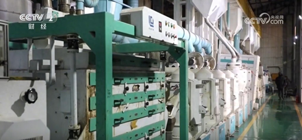 電商助力小農(nóng)戶銜接大市場 訂單化種植打通農(nóng)業(yè)生產(chǎn) “最先一公里”